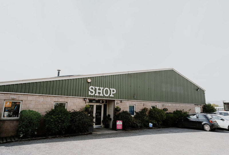 Where You’ll Find our products